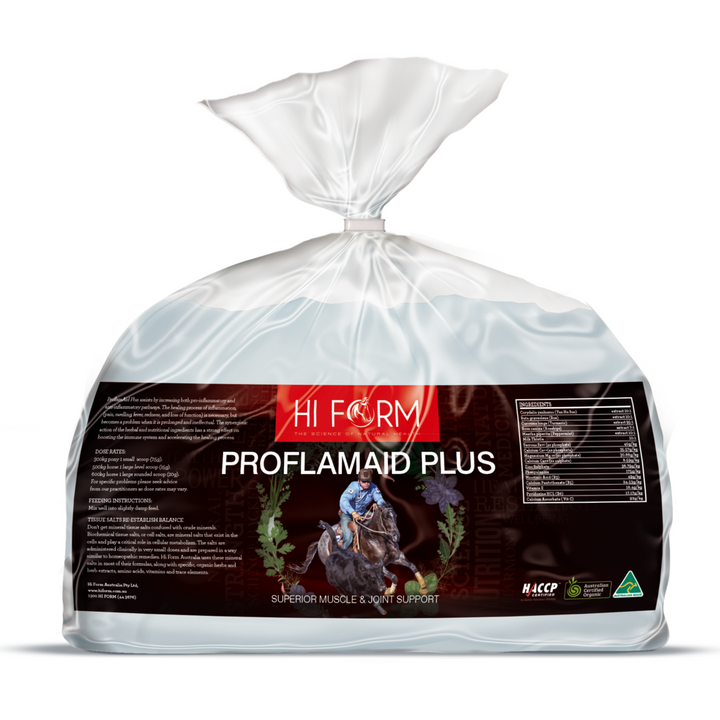ProflamAid Plus