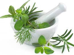 USING NATURAL THERAPIES FOR HORSES
