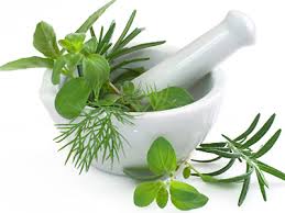 Get the facts on Herbs and swabbing laws Chamomile Confusion