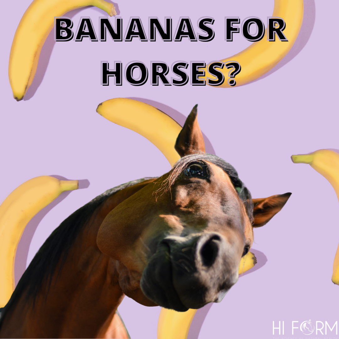 Bananas for horses