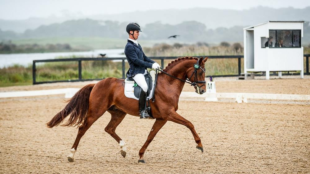 Can High Performance Horses Survive on Roughage Alone