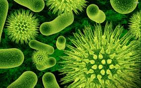 Pro and Prebiotics