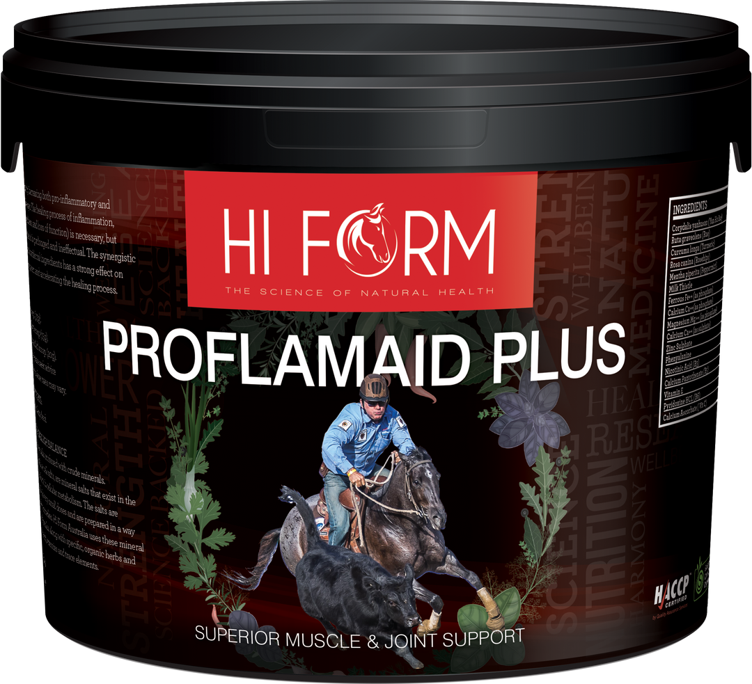 IS MY HORSE IN PAIN?