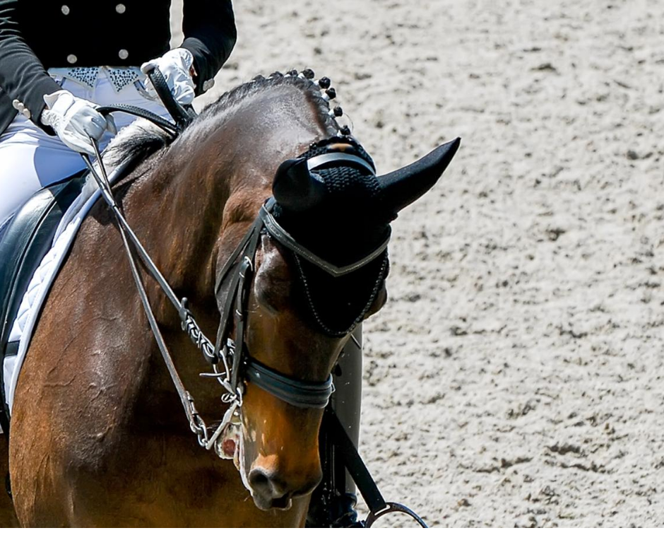 Reaching high levels in the competition arena depends on finding a perfect balance with nutrition. 