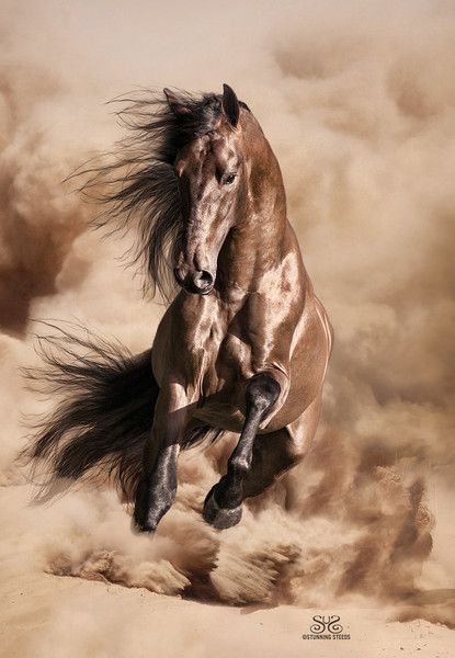 Summer Dust and How to Manage It