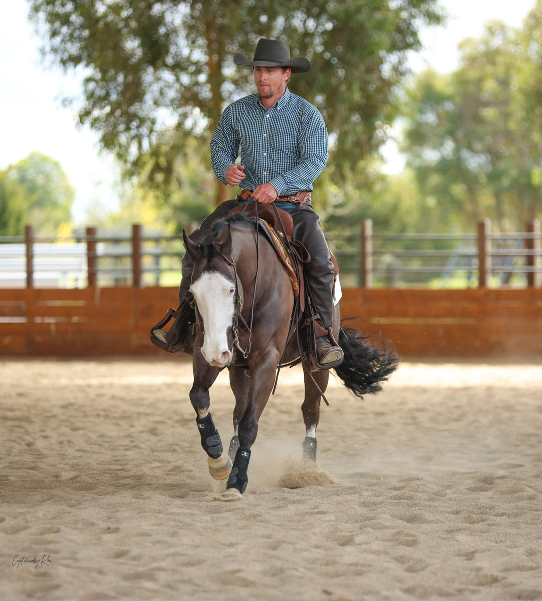 The Simplicity of feeding and reducing digestive issues in horses
