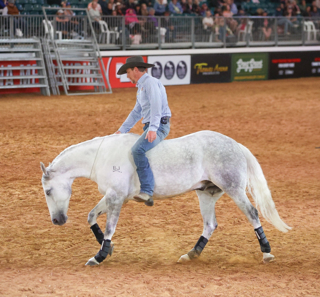 Knights Equestrian