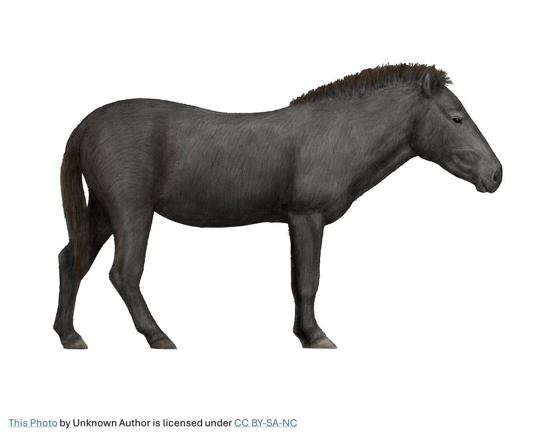 Evolution and species-specific feeding practices