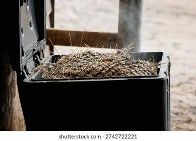 Steaming hay can be very beneficial