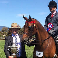 ARE YOU USING THE RIGHT PRODUCT FOR YOUR HORSE?