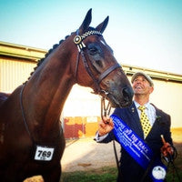 WHY ARE WE SO CONFUSED ABOUT FEEDING OUR HORSES WHEN IT SHOULD JUST BE A SIMPLE NON COMPLICATED PROCESS?