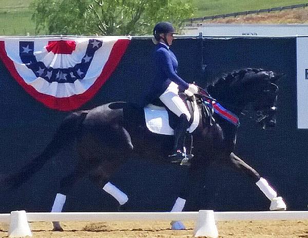 The Simplicity of feeding and reducing digestive issues in horses