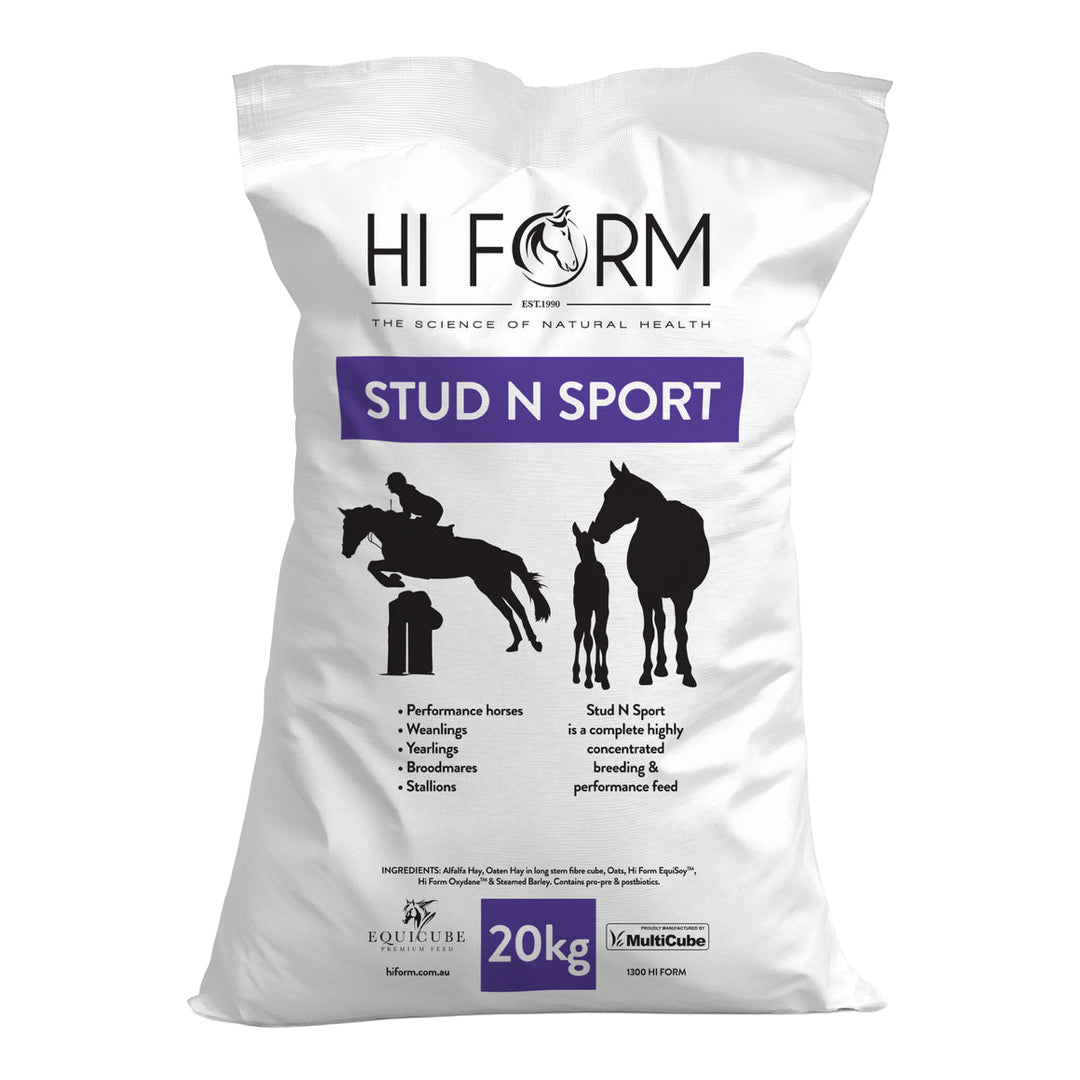 Stud N Sport