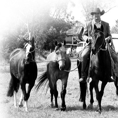 What should I feed my horse?