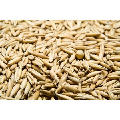 Oats