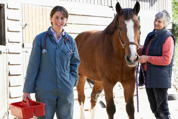 The five top health issues you may come across with your horse