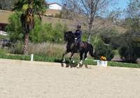 HOW TO FEED YOUR HORSE ON A SHOESTRING BUDGET
