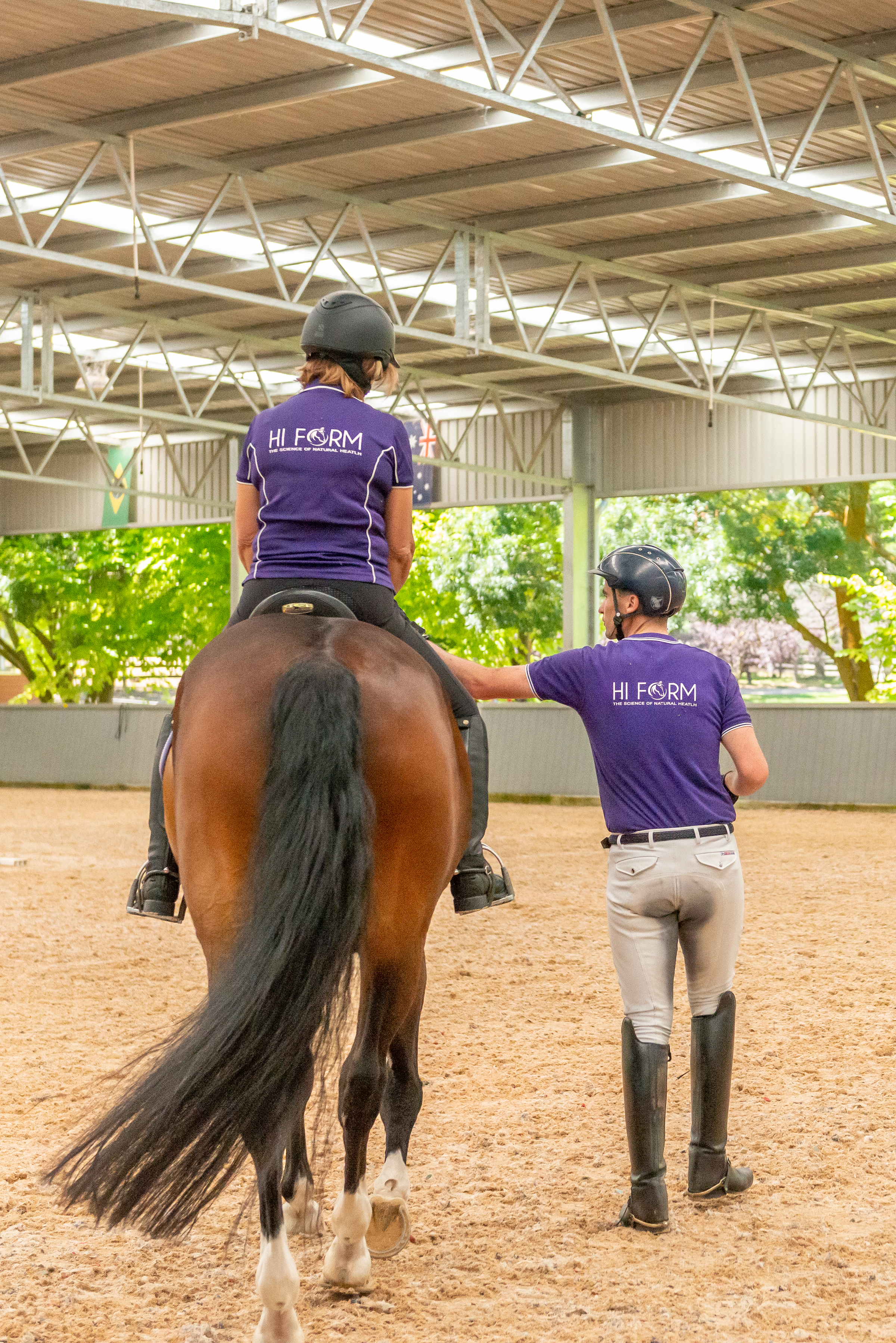 Smart Gut Microbiome testing for your horse digestive health