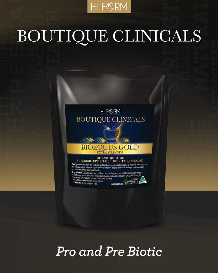 BioEquus Gold