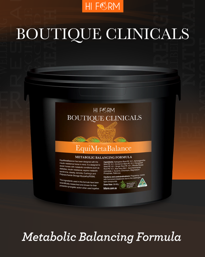 EquiMetaBalance- Metabolic Balancing Formula