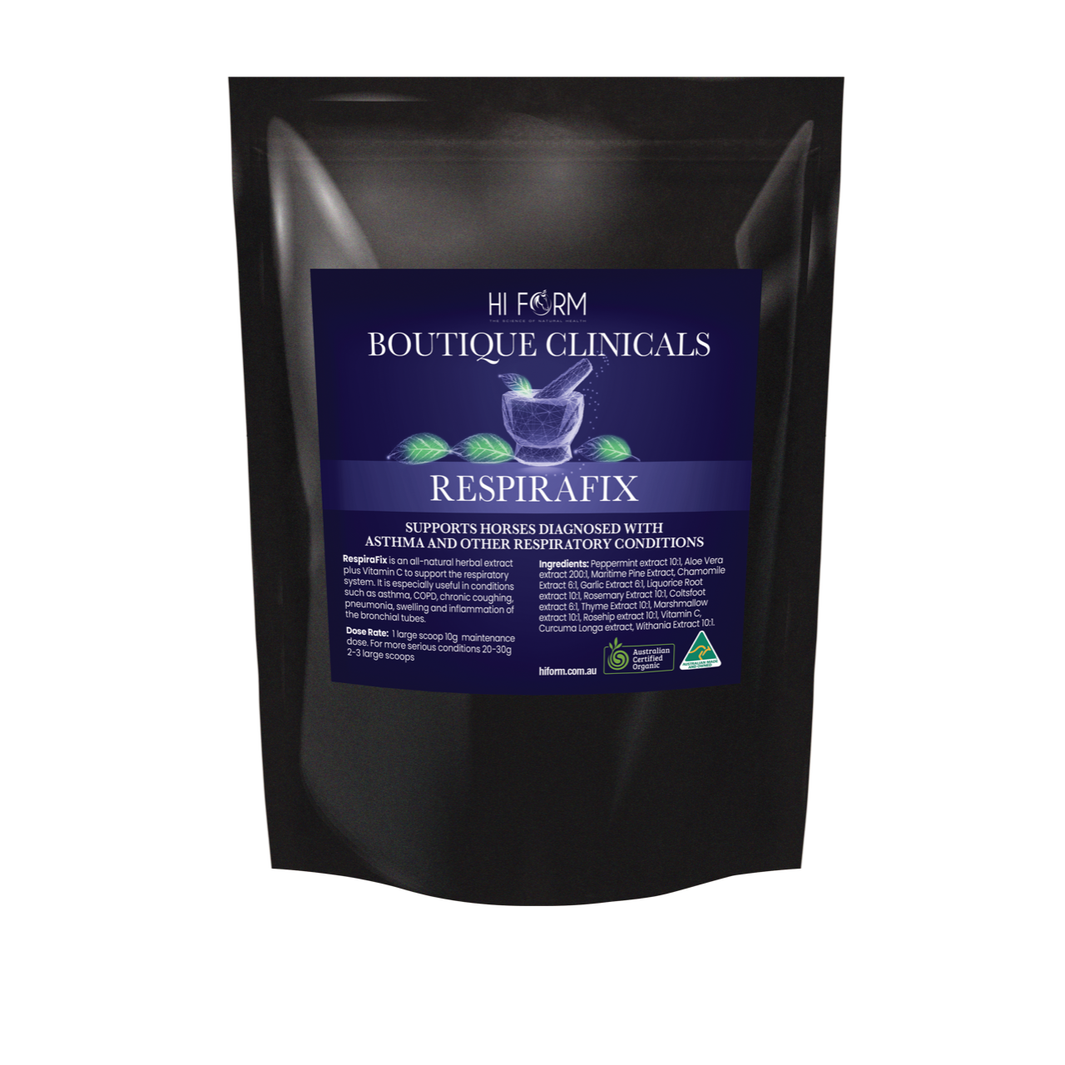 Hi Form N 11 Instructions Hi Form N 11 Instructions