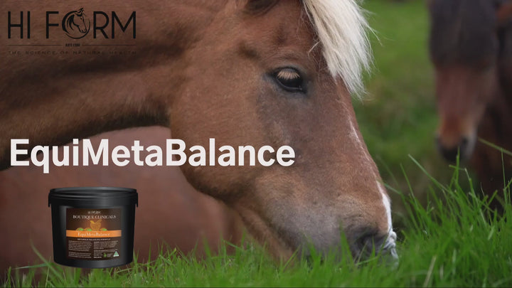 EquiMetaBalance- Metabolic Balancing Formula