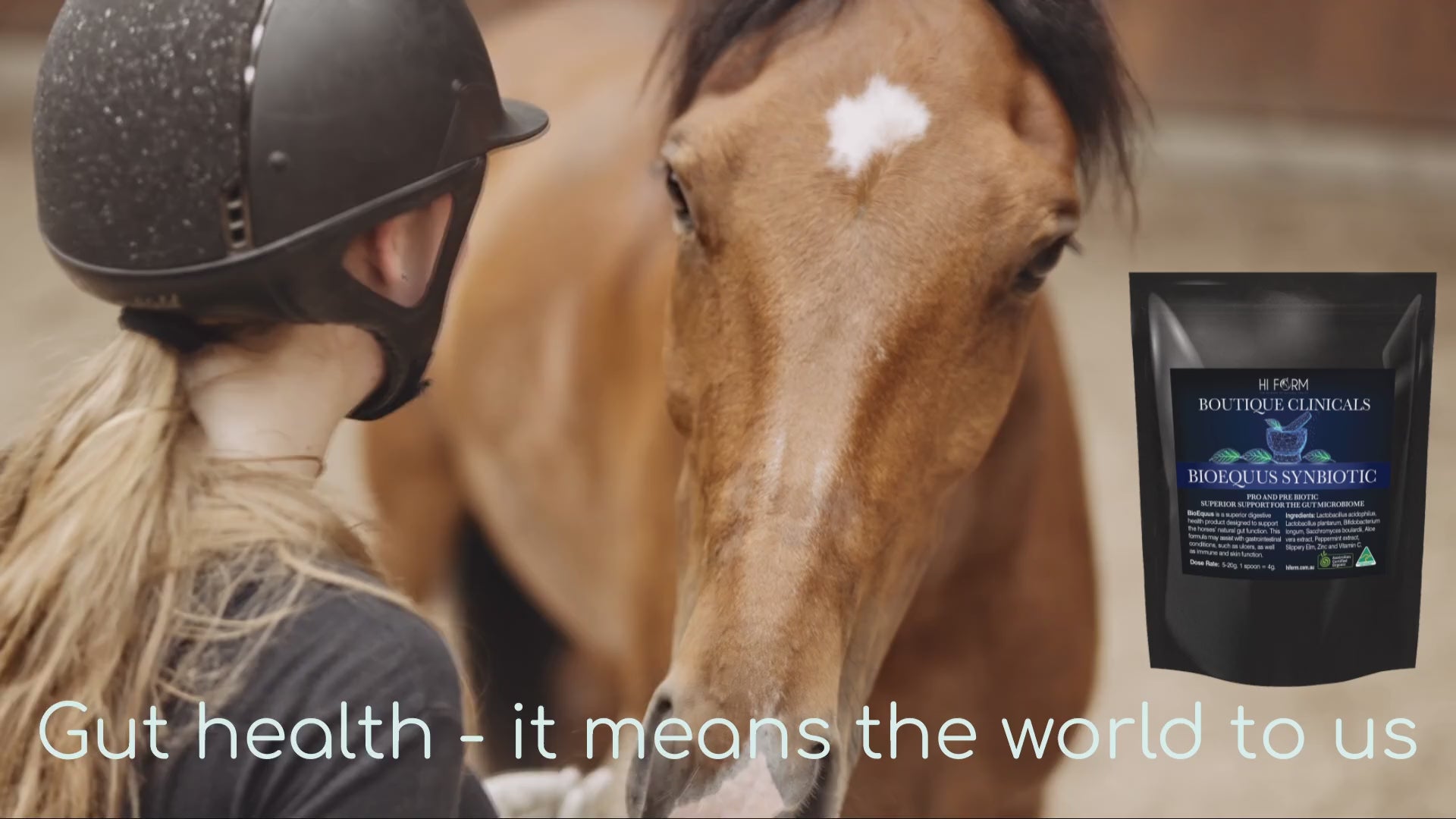 BioEquus- Supports the Gut Microbiome and digestive health, a unique synbiotic formula