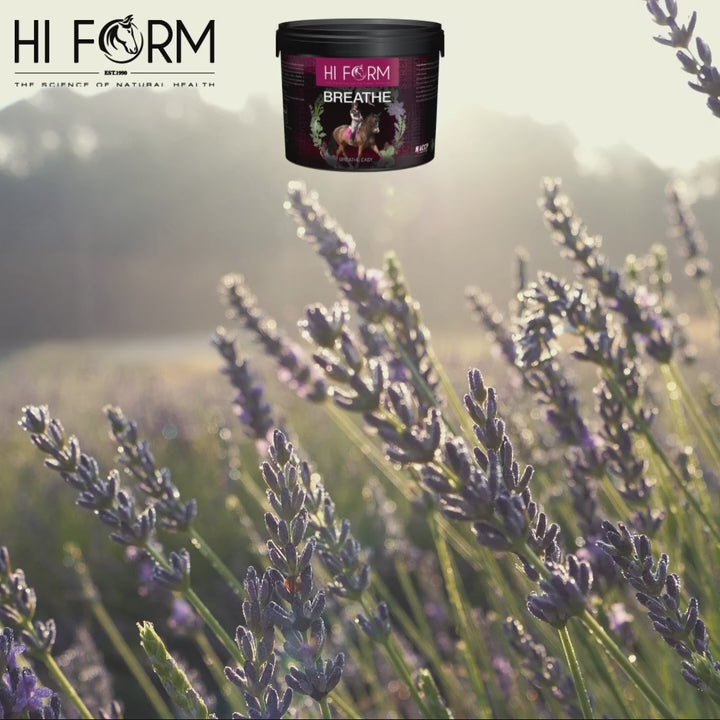 Breathe - natural way to assist with Respiratory function, safe and highly effective!
