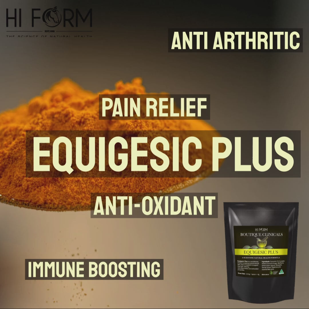 EquiGesic Plus - Curcuma Longa Extract (turmeric) highly researched, Bioperine, highly effective.