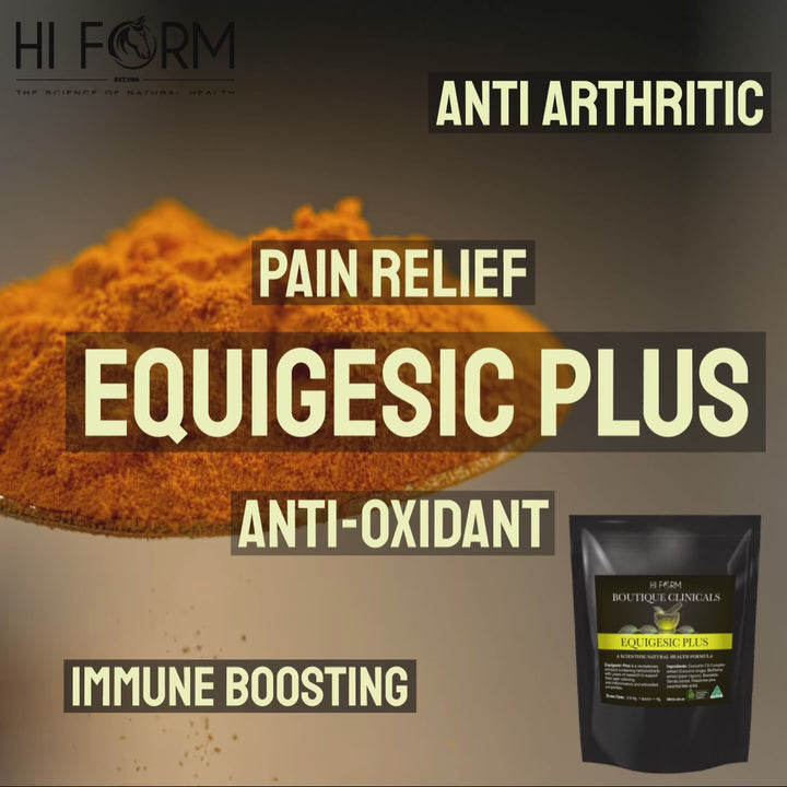 EquiGesic Plus - Curcuma Longa Extract (turmeric) highly researched, Bioperine, highly effective.